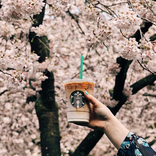 Пусть всегда будет цветочно-карамельное настроение! 