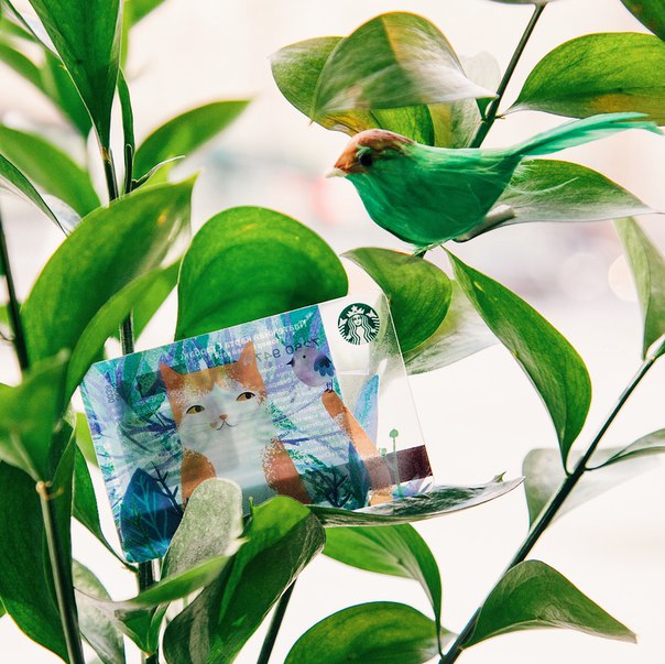 Сохранит все ваши звезды, поможет собирать награды и сюрпризы: ваш весенний котик. Возьмите его себе или подарите другу!  #МоиНаградыСтарбакс