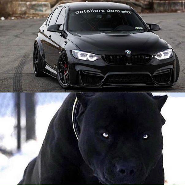 #BMW 