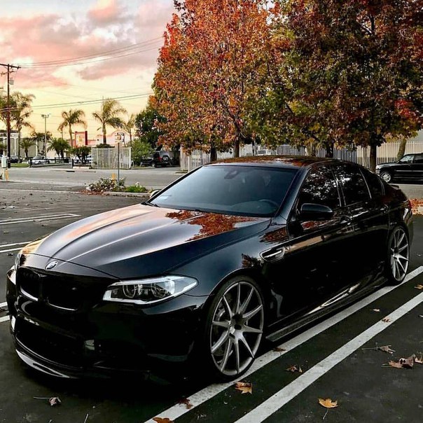 #BMW F10 ///M5 