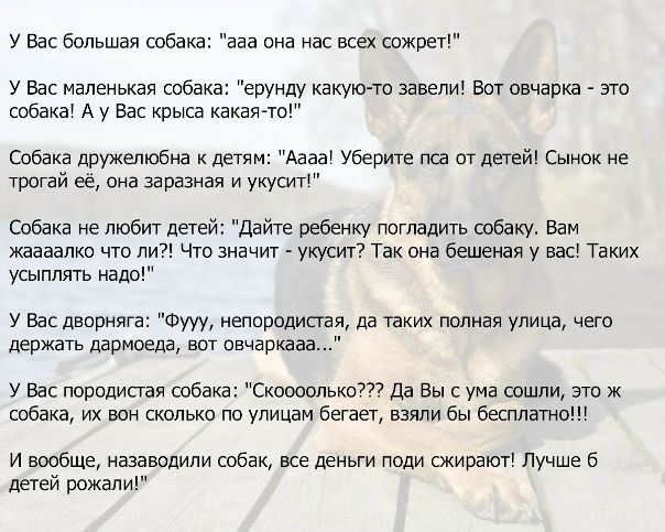 Из жизни собачников