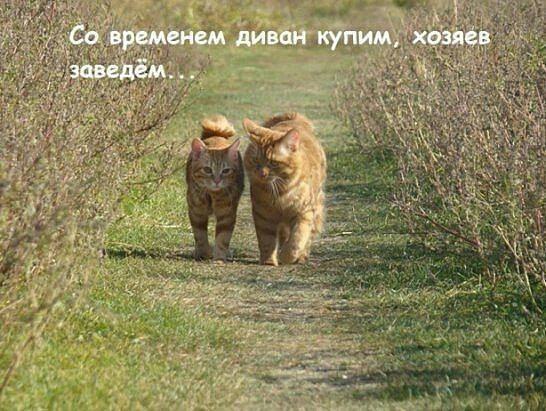 Молодая семья