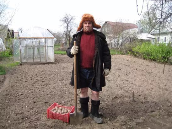 МАЙ... Пора сажать картошку...