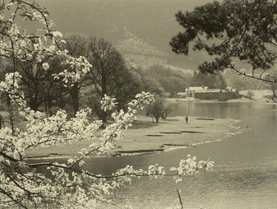 Наша жизнь очень зависит от случайных встреч, зигзагов судьбы и неожиданных разветвлений пути. Совпадения, эти маленькие чудеса, суть не что иное, как намёки : у Вселенной такие планы относительно вас, о которых вы и помыслить не можете. Стечения обстоятельств легче заметить по прошествии времени. Однако тот, кто умеет видеть их в настоящем, находится в более выгодном положении. У такого человека больше шансов воспользоваться новыми возможностями. Кроме того, осознание преобразовывается в энергию. Чем внимательнее вы к совпадениям, тем чаще они случаются, - а значит, тем шире ваш доступ к посланиям - подсказкам о предназначенном вам пути и направлении. 