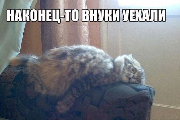 Где-то у бабушки...